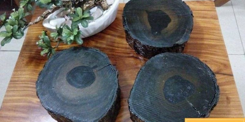 Gỗ Mun có tốt không? Các loại gỗ Mun phổ biến và giá gỗ Mun 2020 – KHBVPTR